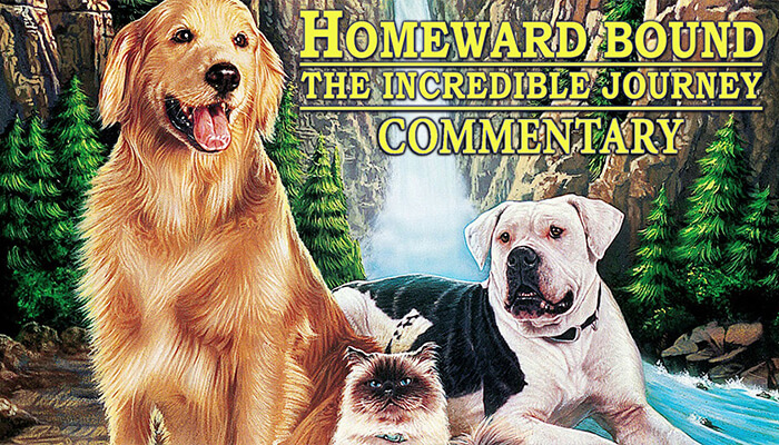 Homeward Bound The Incredible Journey (1993)