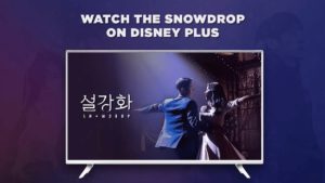 How to Watch Snowdrop on Disney Plus outside Australia