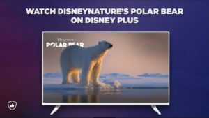 How to Watch Disneynature’s ‘Polar Bear’ on Disney Plus from Anywhere