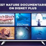 28 Best Nature Documentaries on Disney Plus [2023 Updated]