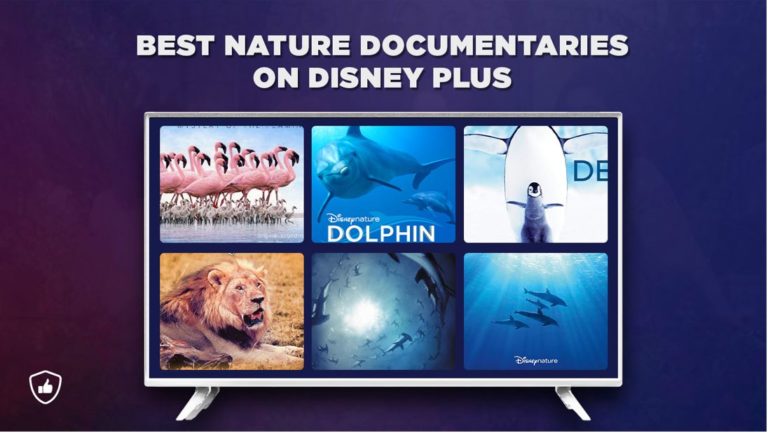 28 Best Nature Documentaries on Disney Plus [2022 Updated]