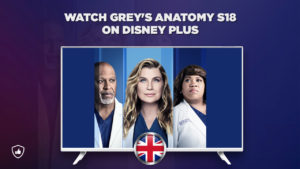 How to watch Grey’s Anatomy Season 18 on Disney Plus Outside the UK?