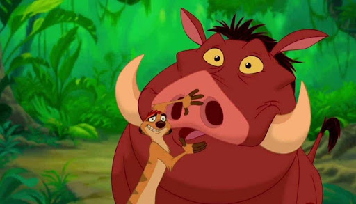 Timon and Pumbaa from The Lion King in India