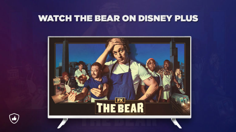 watch The Bear on Disney Plus in USA