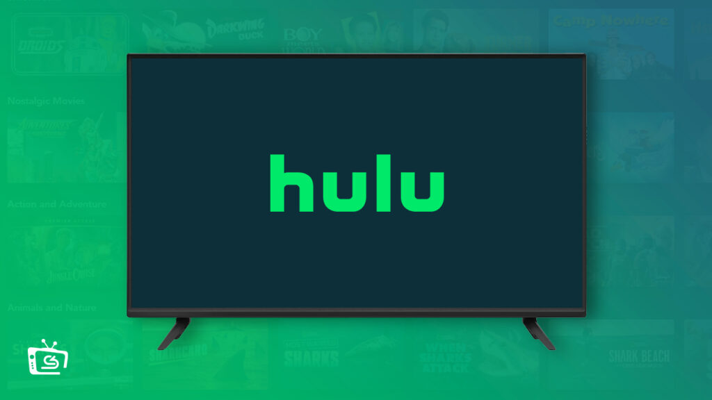 How to Watch Hulu on Samsung Smart TV in Germany [September 2023 Guide]