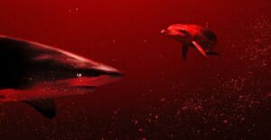 Sharks-vs-Dolphins-Blood-Battle