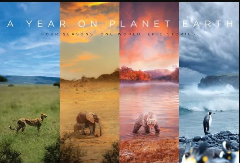 A year on planet earth