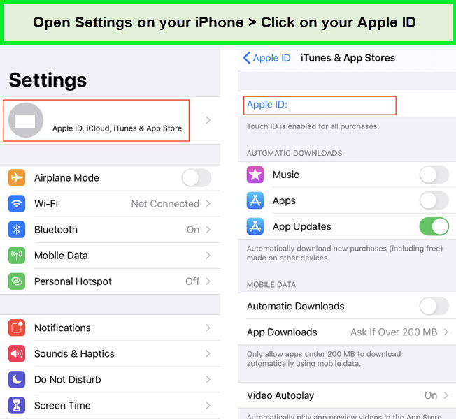 cancel-netflix-on-ios-device-to-tap-on-apple-id-1-UK