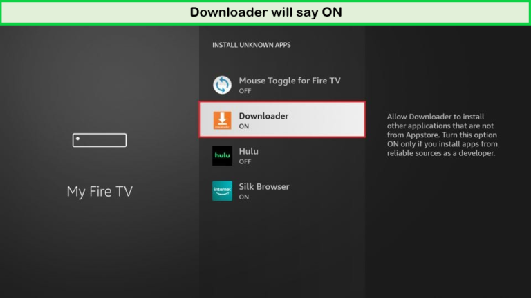 downloader-say-on-firestick-in-New Zealand