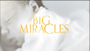 How to Watch Big Miracles Outside Australia On 9Now