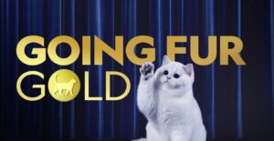Watch Going Fur Gold outside USA On Disney Plus