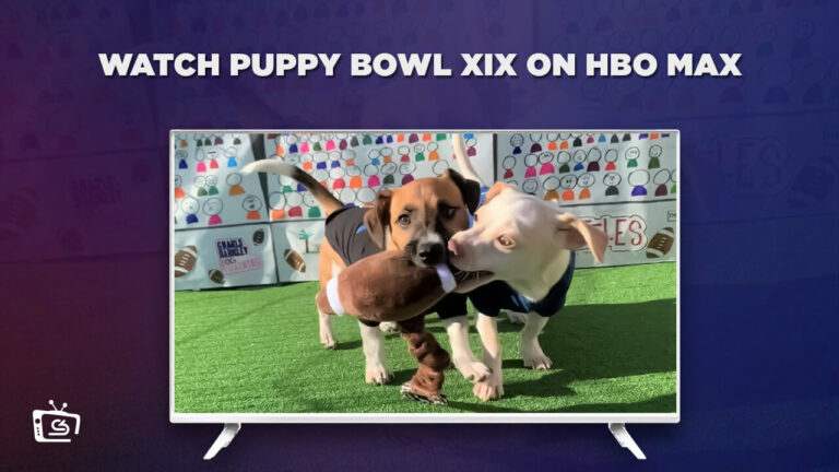 watch-Puppy-Bowl-XIX-outside-us