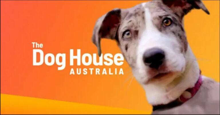 Watch The Dog House Australia Season 3 Outside Australia