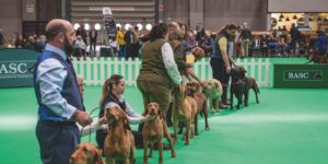 Watch Crufts 2023 in Canada On Channel 4