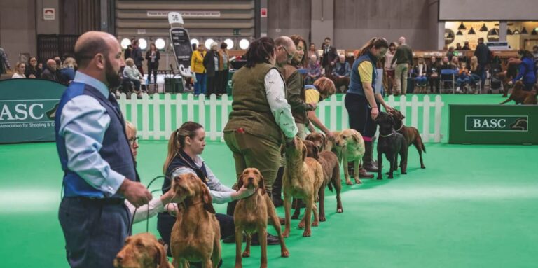 Watch Crufts 2023 in Singapore