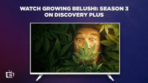 How To Watch Growing Belushi Season 3 on Discovery Plus in Spain in 2023?