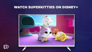 Watch SuperKitties Outside USA On Disney Plus