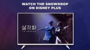 Comment regarder Snowdrop sur Disney Plus outside   France