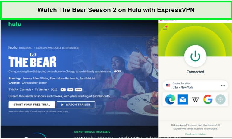 Watch-The-Bear-Season-2-in-South Korea-on-Hulu-with-ExpressVPN.