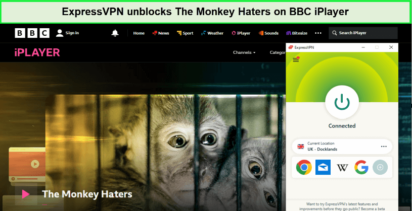 express-vpn-unblocks-the-monkey-haters-in-Spain-on-bbc-iplayer