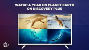 How To Watch A Year On Planet Earth in Singapore on Discovery Plus?