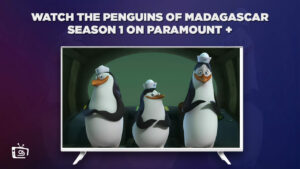 Watch The Penguins of Madagascar (Season 1) on Paramount Plus in Italy