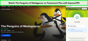 watch-the-penguins-of-madagascar-on-paramount-plus- -with-expressvpn