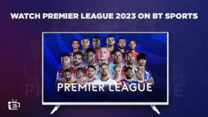 Watch Brighton vs Newcastle Premier League 2023 Outside UK on BT Sport