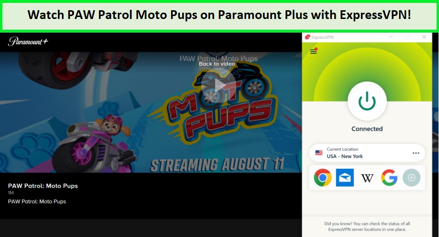 Watch-PAW-Patrol-Moto-Pups---on-Paramount Plus 