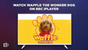 How to Watch Waffle the Wonder Dog in South Korea on BBC iPlayer