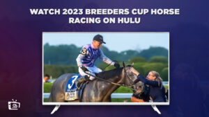How to Watch 2023 Breeders Cup Horse Racing in Australia on Hulu – [In 4k Result]