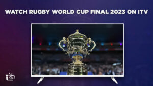 Wie man das Rugby-Weltmeisterschaftsfinale 2023 anschaut in Deutschland Auf ITV [Kostenloses Live-Streaming]