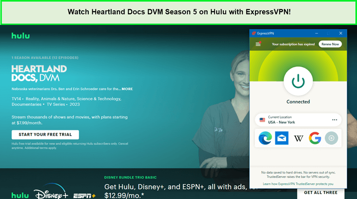 Watch-Heartland-Docs-DVM-Season-5-on-Hulu-with-ExpressVPN-in-South Korea