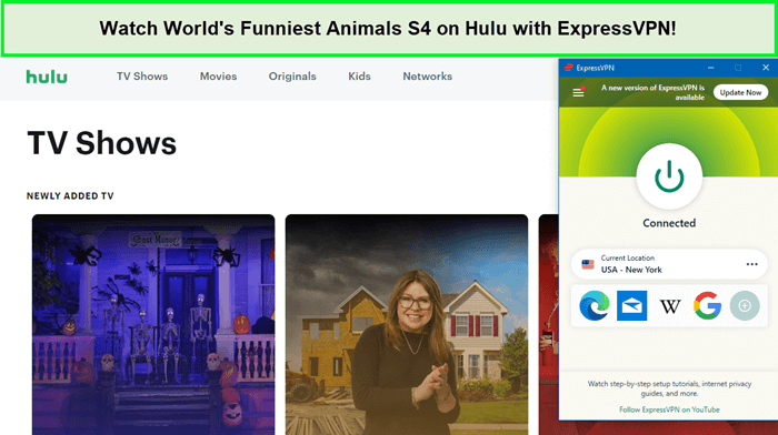 Watch-Worlds-Funniest-Animals-S4-on-Hulu-with-ExpressVPN-in-Italy