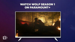 Wolf Staffel 1 ansehen in   Deutschland Auf Paramount Plus