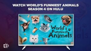 How to Watch World’s Funniest Animals Season 4 in Australia on Hulu [Best Guide]
