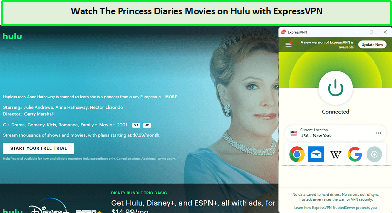 Watch-The-Princess-Diaries-Movies-in-Hong Kong-on-Hulu-with-ExpressVPN