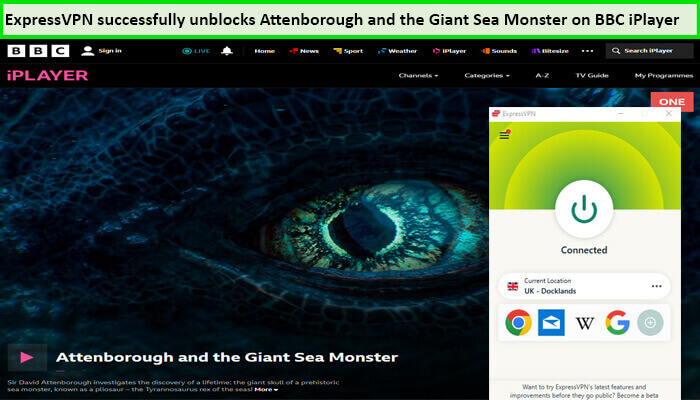 Express-VPN-Unblocks-Attenborough-and-the-Giant-Sea-Monster-in-New Zealand-on-BBC-iPlayer