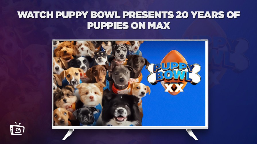 Comment Regarder Puppy Bowl présente 20 ans de chiots en France sur Max [Guide simple]