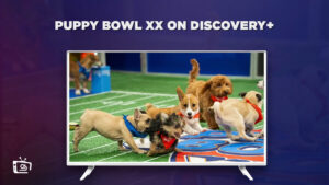 How to Watch Puppy Bowl XX in UAE on Discovery Plus