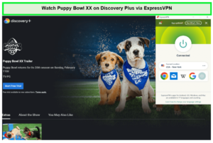 Watch-Puppy-Bowl-XX-outside-USA-on-Discovery-Plus-via-ExpressVPN